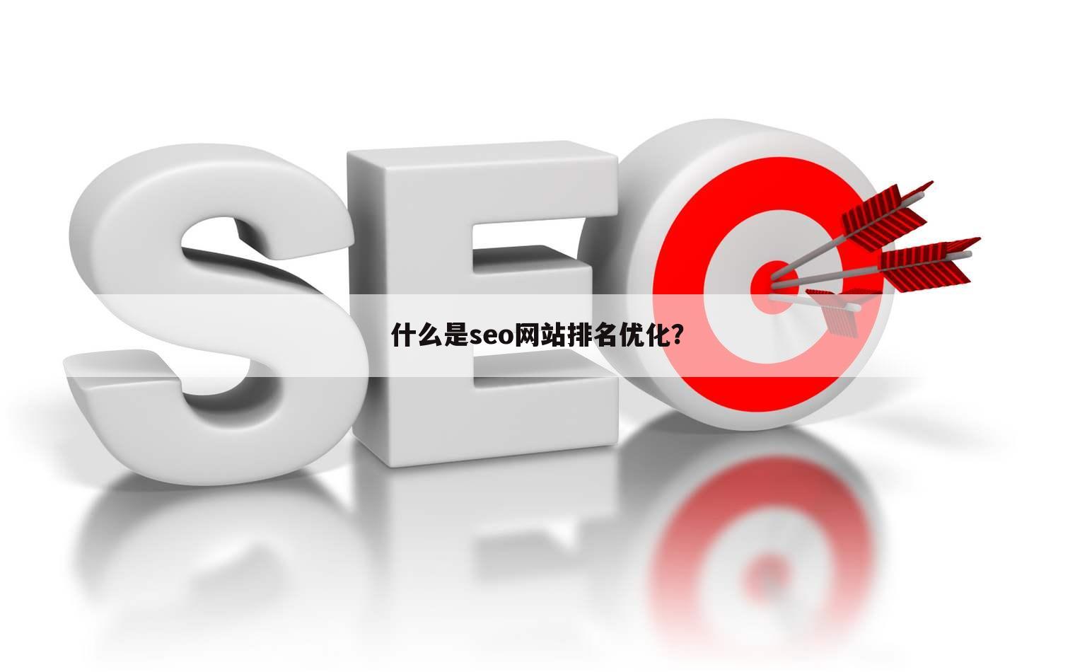什么是seo网站排名优化?