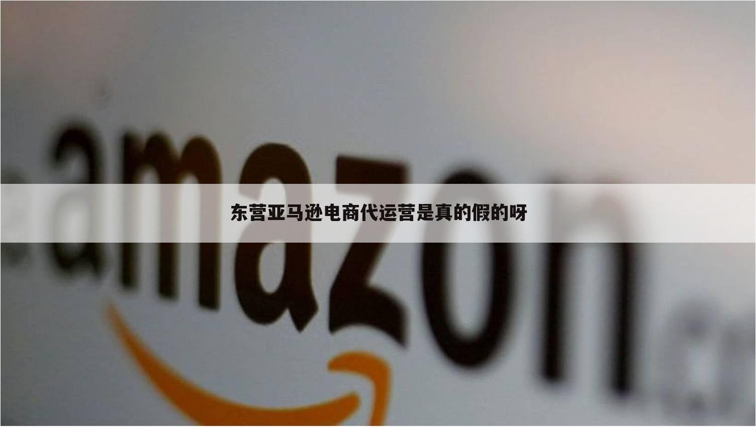 东营亚马逊电商代运营是真的假的呀