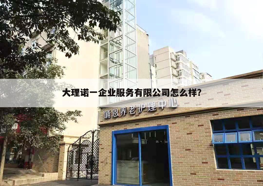 大理诺一企业服务有限公司怎么样？