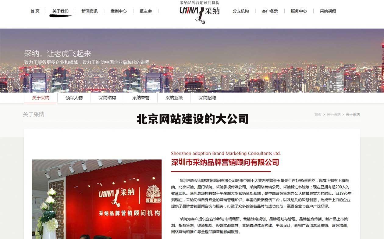 北京网站建设的大公司