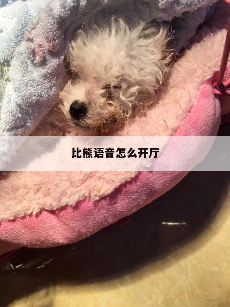 比熊语音怎么开厅