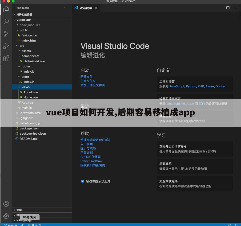 vue项目如何开发,后期容易移植成app