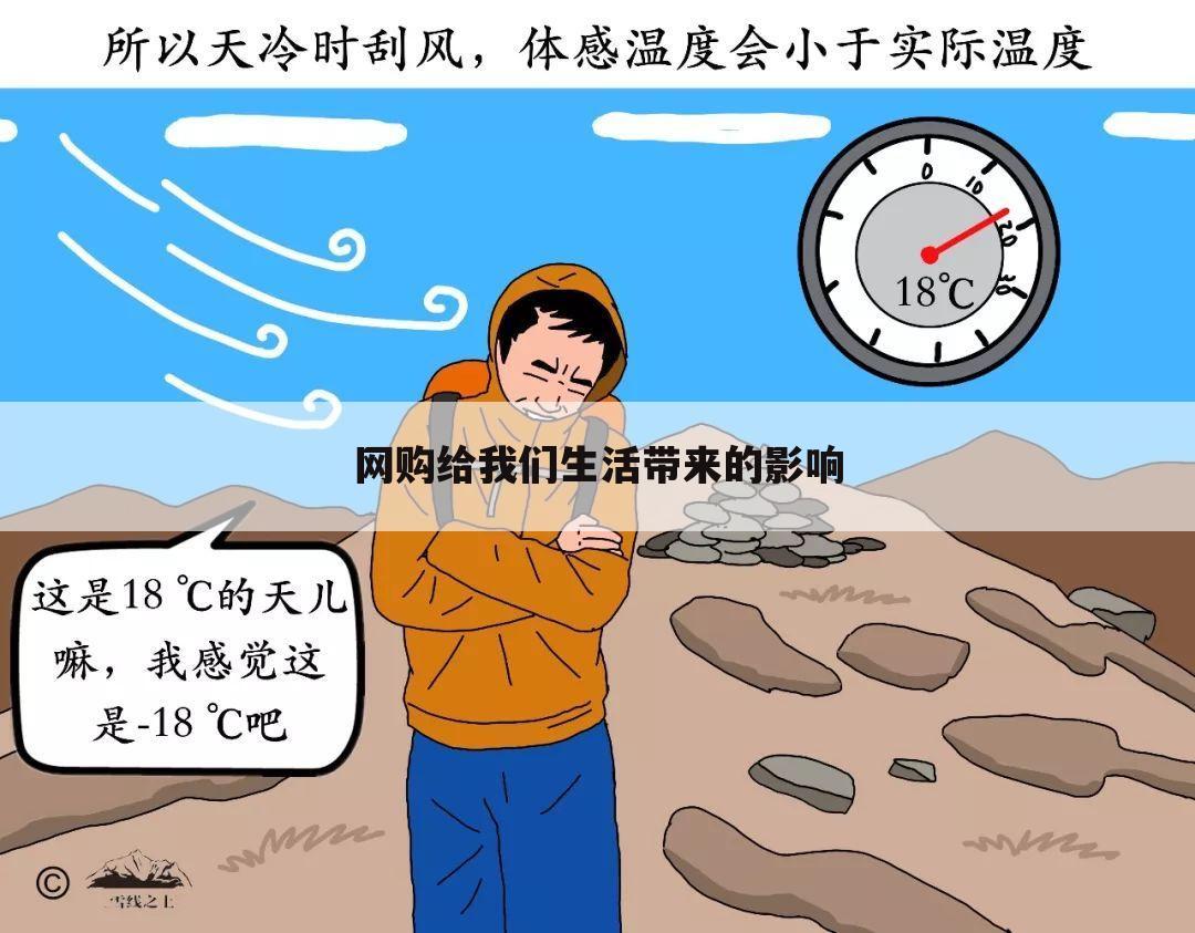 网购给我们生活带来的影响