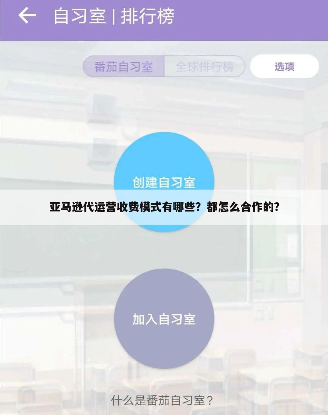 亚马逊代运营收费模式有哪些?都怎么合作的?