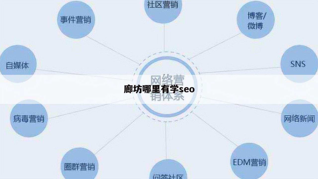 廊坊哪里有学seo