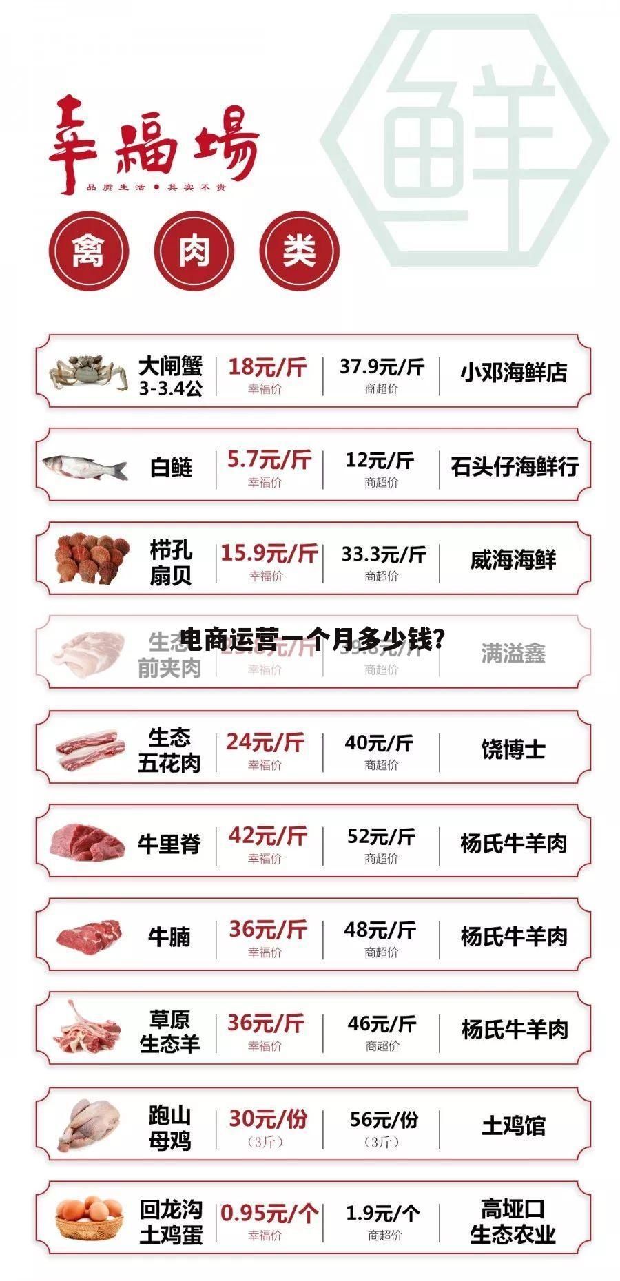 电商运营一个月多少钱?