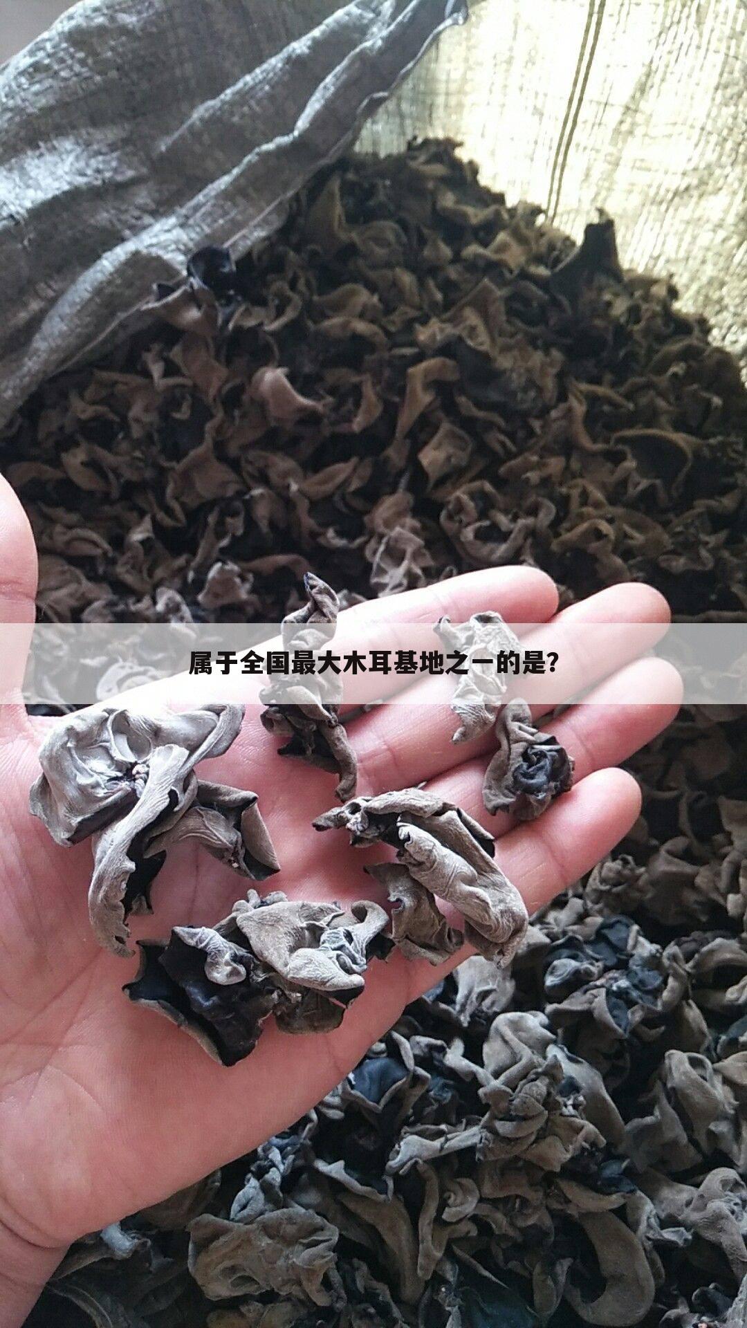 属于全国最大木耳基地之一的是？