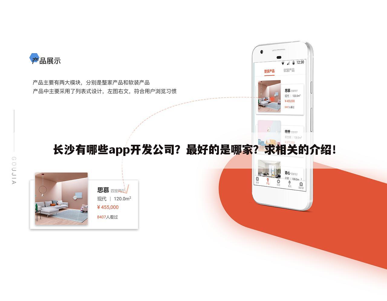 长沙有哪些app开发公司?最好的是哪家?求相关的介绍!