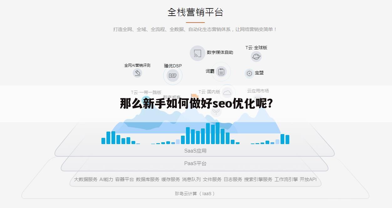 那么新手如何做好seo优化呢?