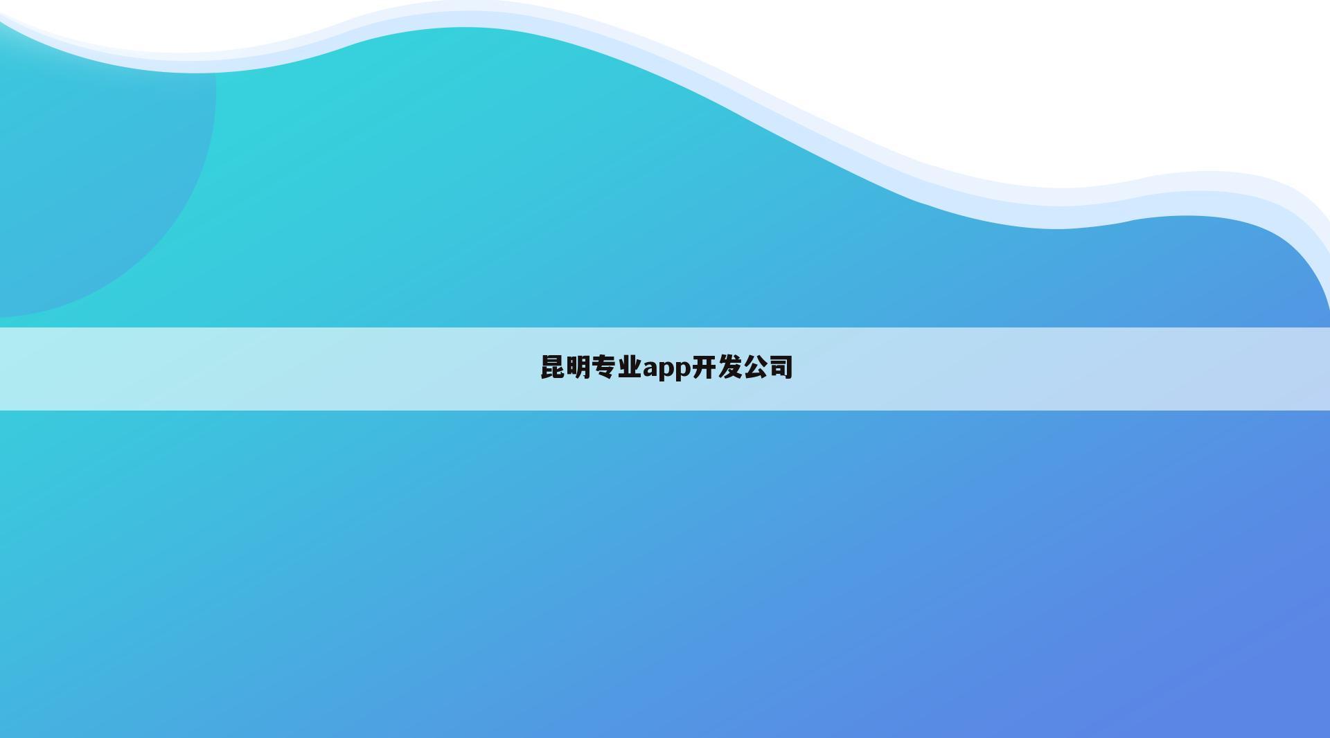 昆明专业app开发公司