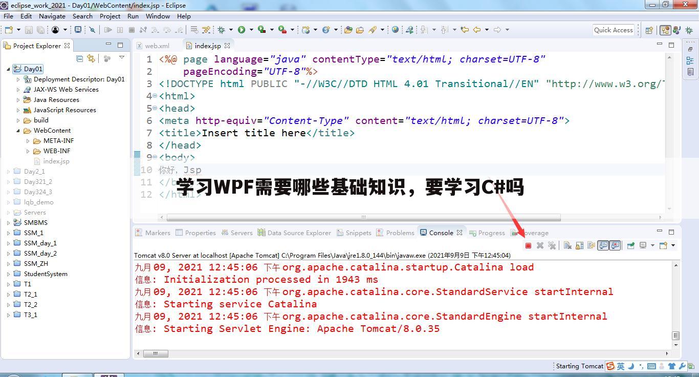 学习WPF需要哪些基础知识，要学习C#吗
