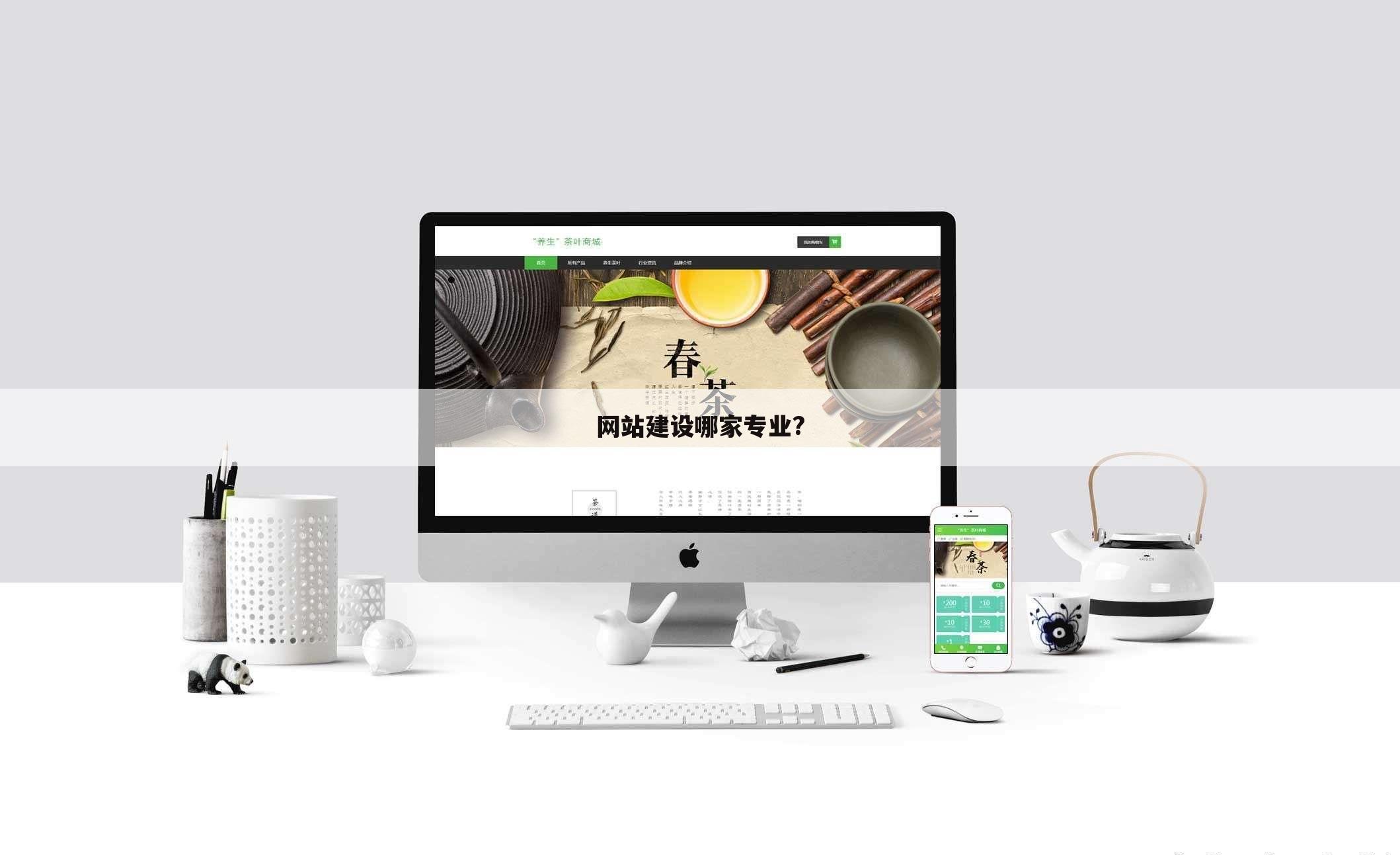 网站建设哪家专业?