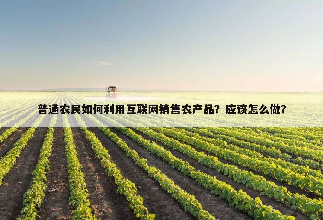 普通农民如何利用互联网销售农产品?应该怎么做?