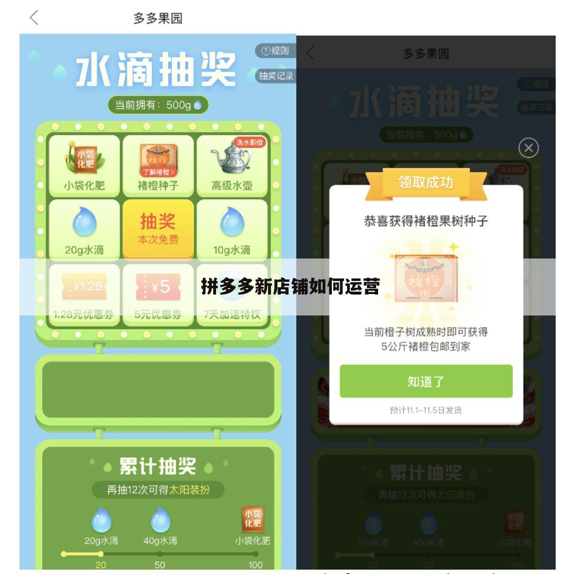 拼多多新店铺如何运营