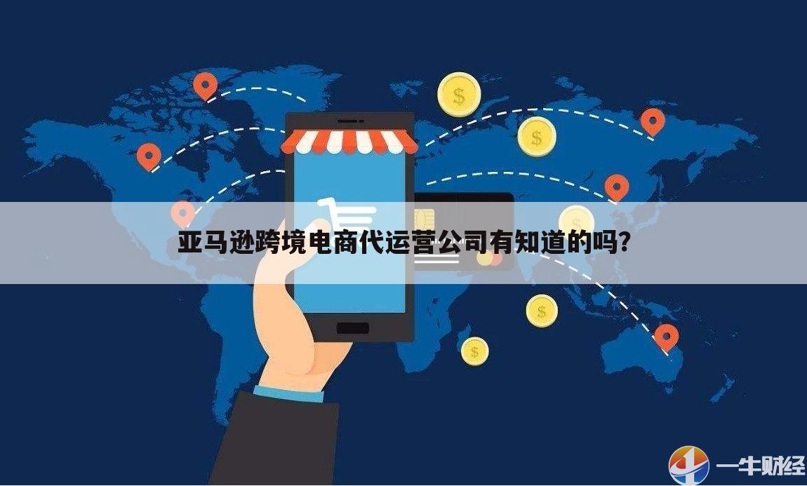 亚马逊跨境电商代运营公司有知道的吗?