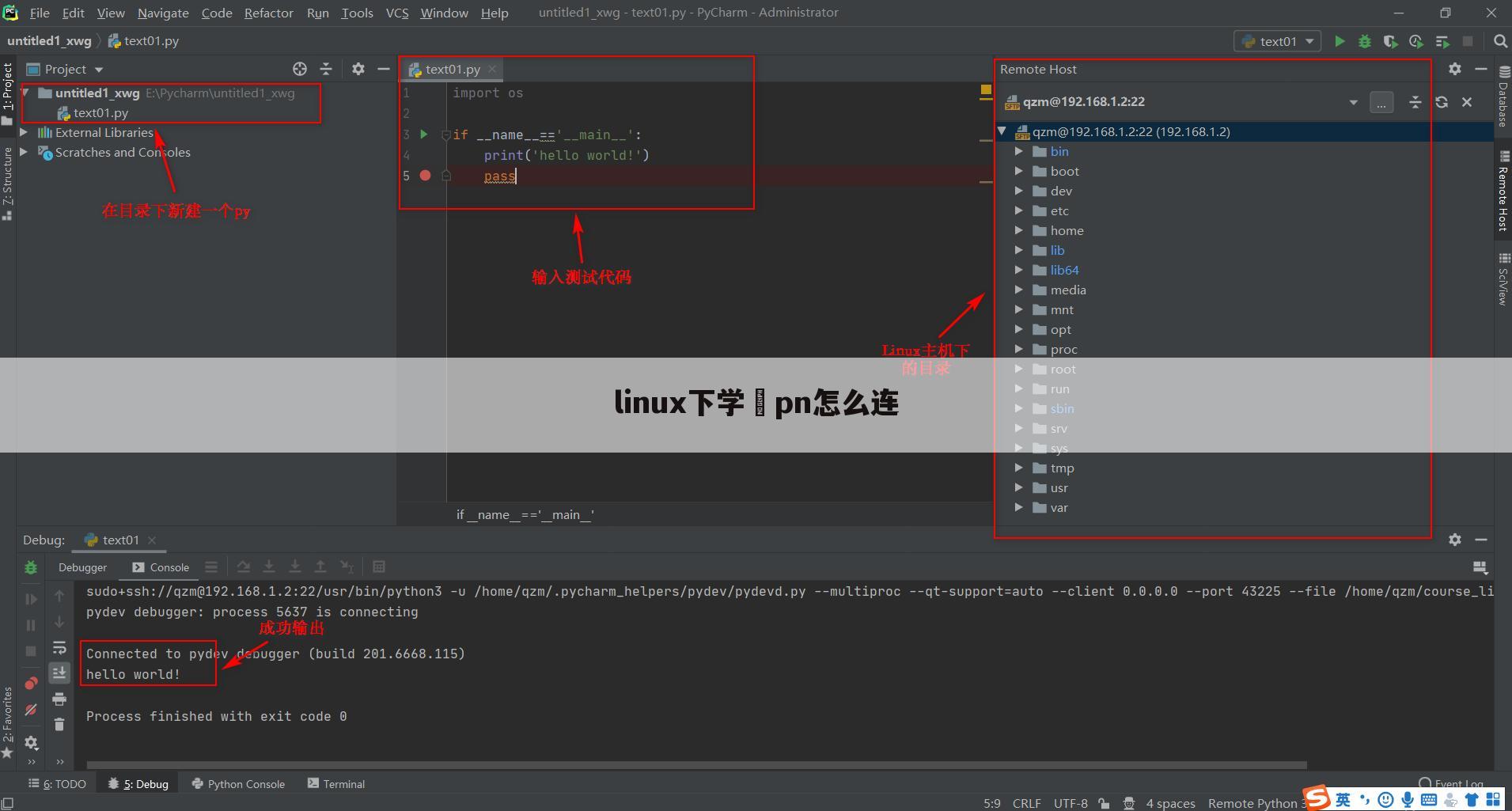 linux下学膙pn怎么连