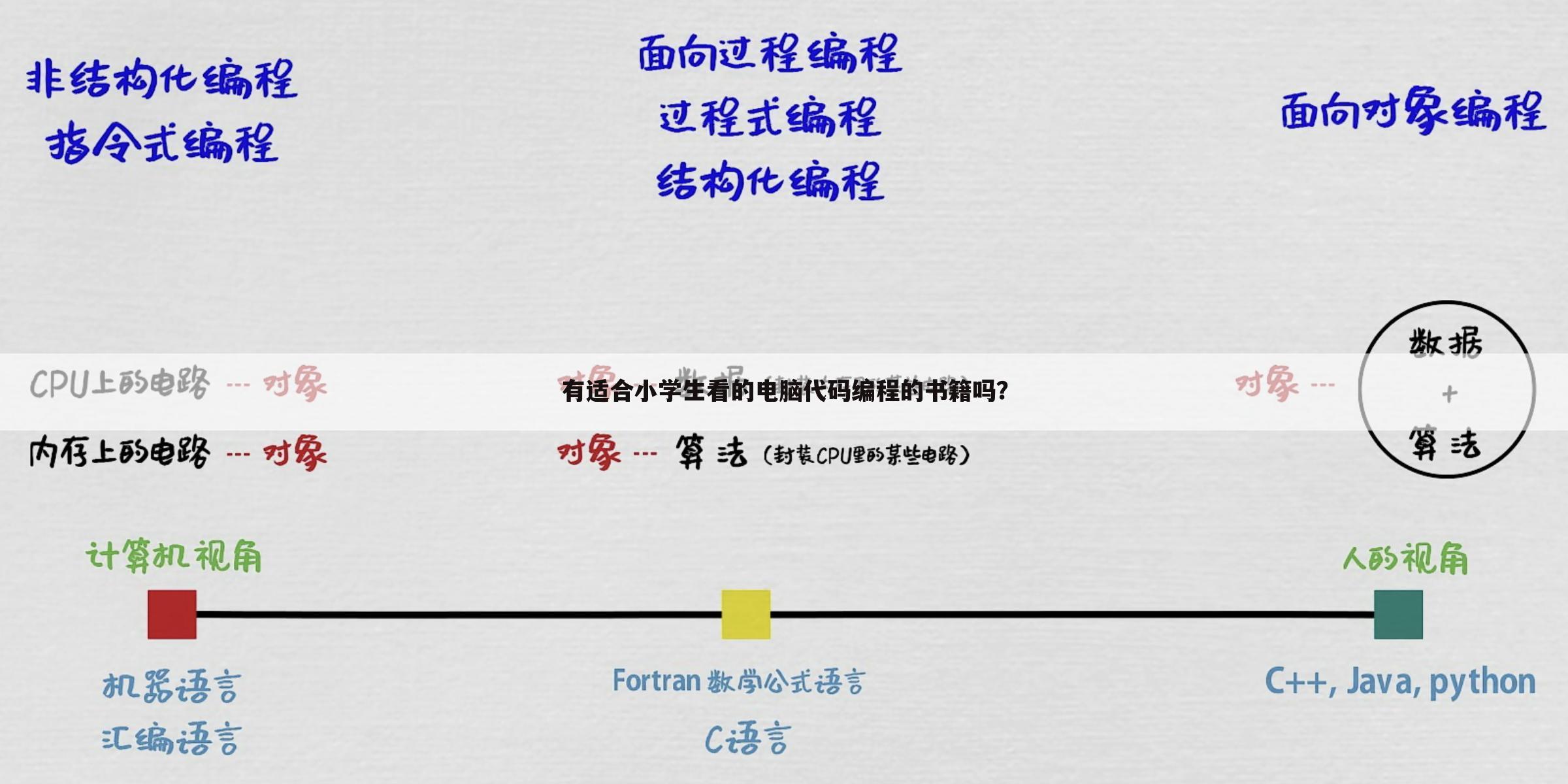 有适合小学生看的电脑代码编程的书籍吗?
