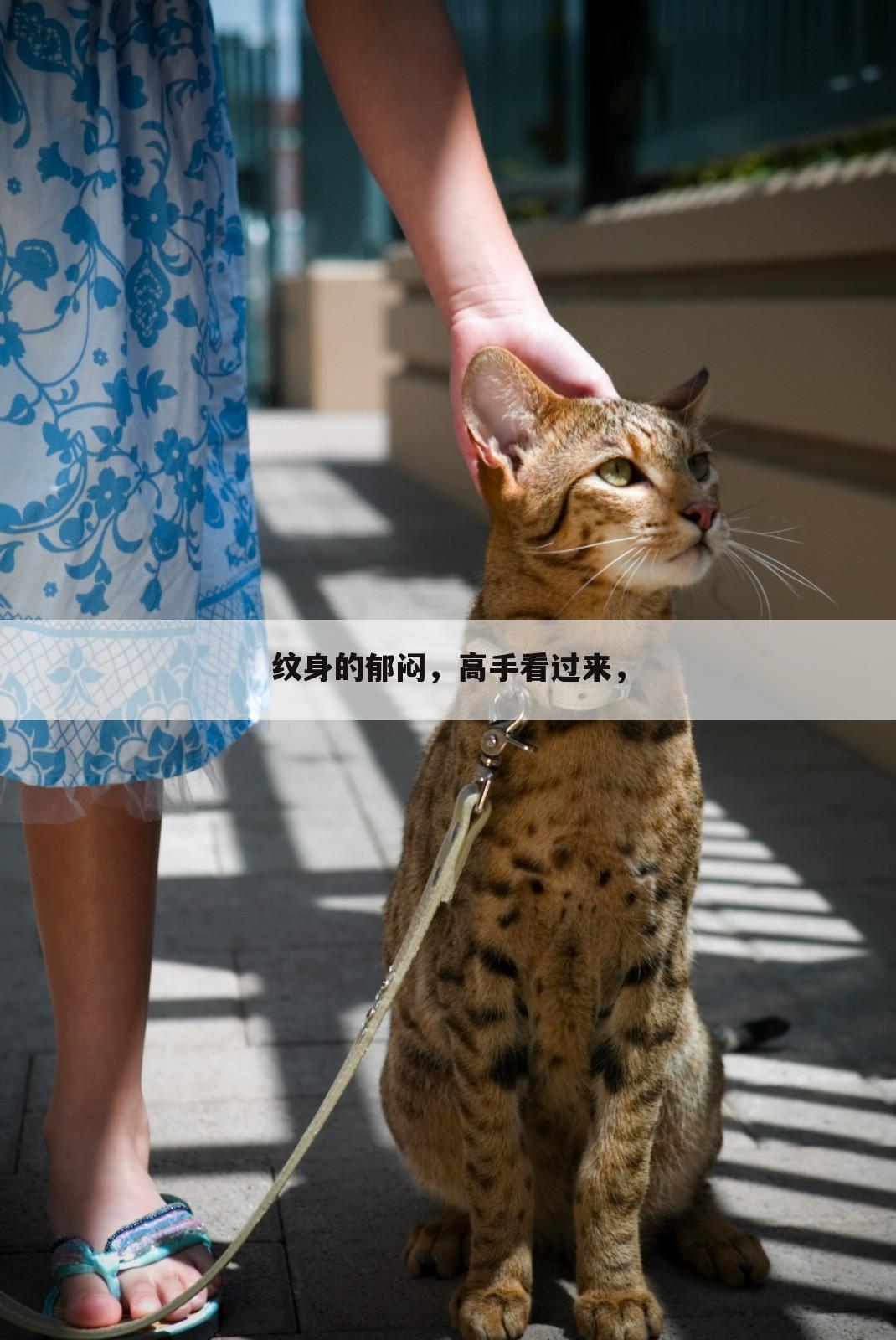 纹身的郁闷，高手看过来，