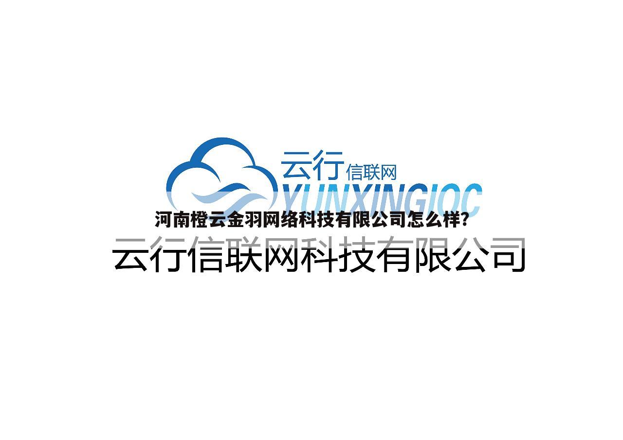 河南橙云金羽网络科技有限公司怎么样?