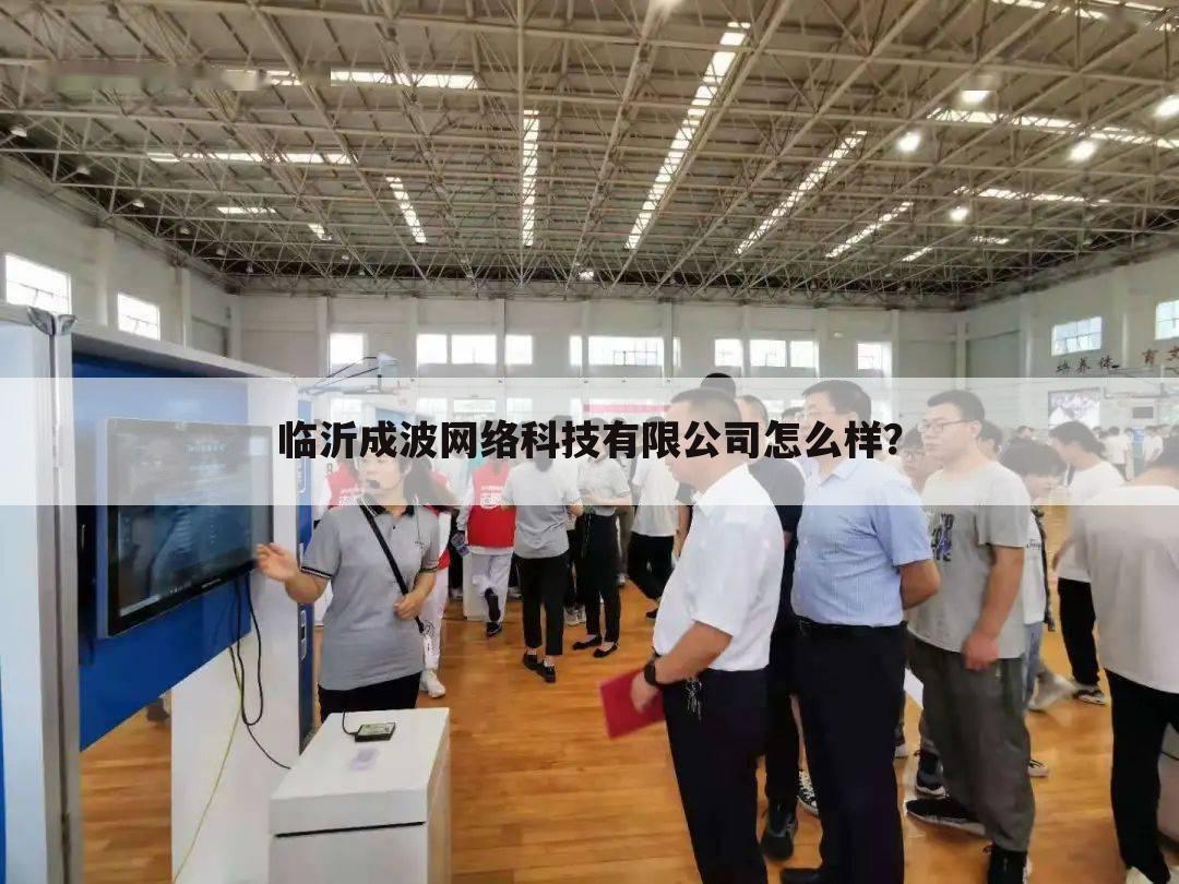 临沂成波网络科技有限公司怎么样？
