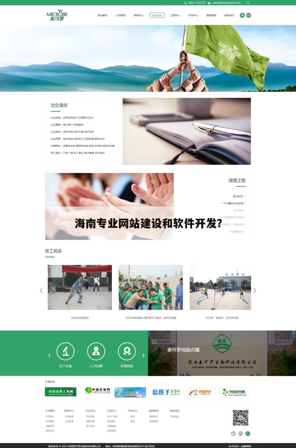 海南专业网站建设和软件开发？
