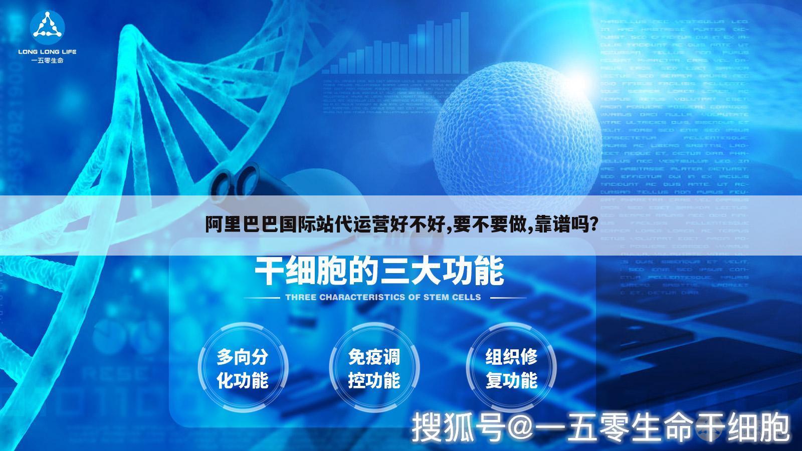 阿里巴巴国际站代运营好不好,要不要做,靠谱吗?