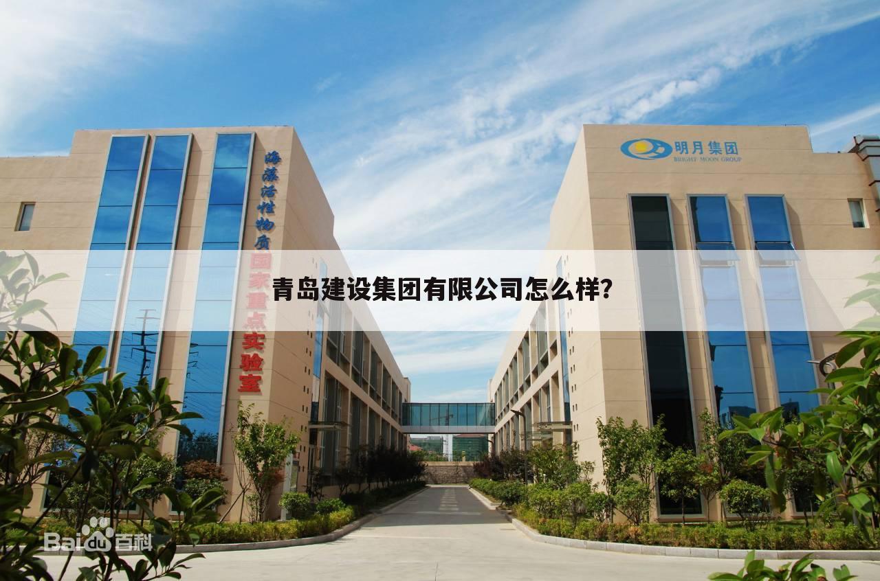 青岛建设集团有限公司怎么样？