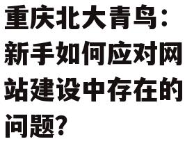 重庆北大青鸟：新手如何应对网站建设中存在的问题？