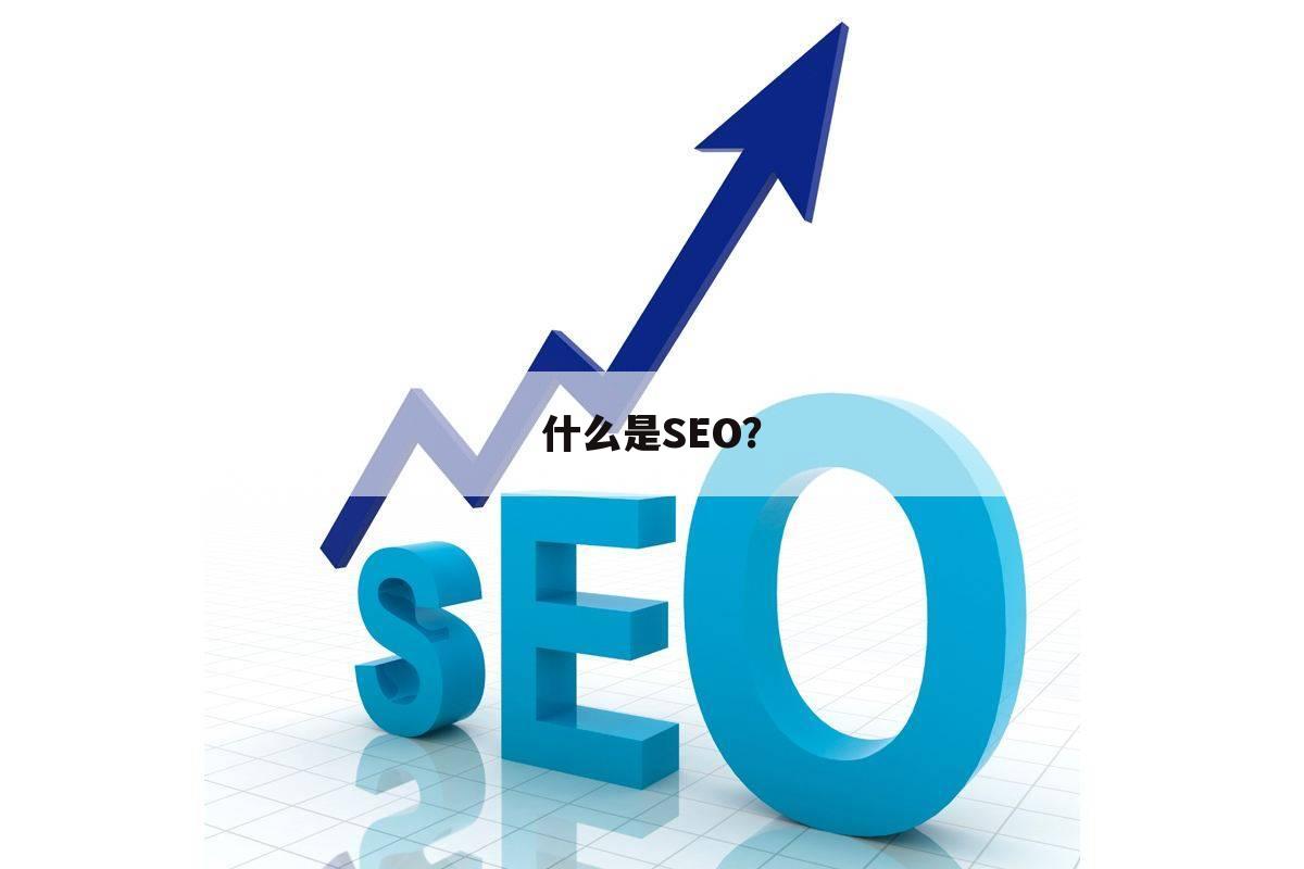 什么是SEO？