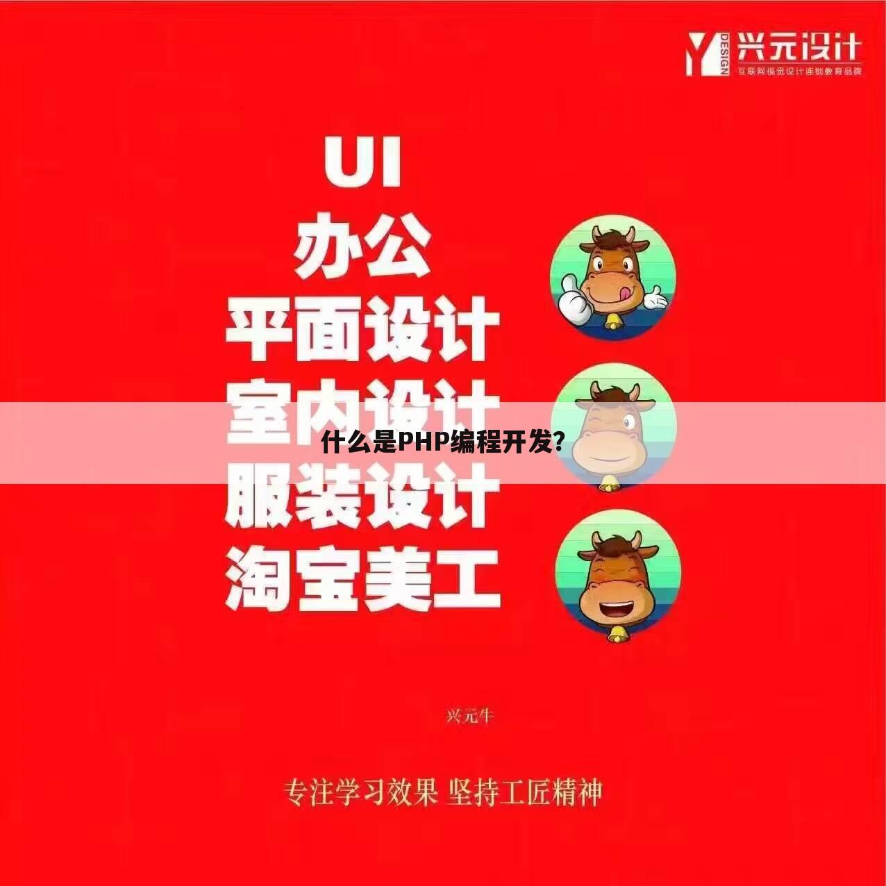 什么是PHP编程开发？