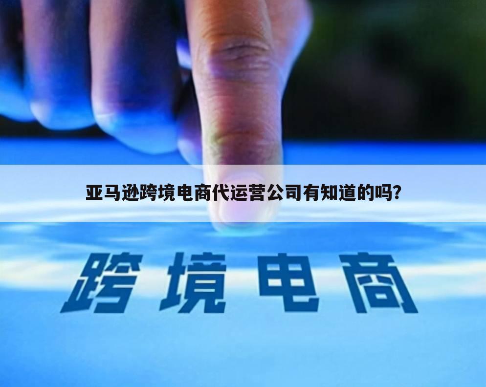 亚马逊跨境电商代运营公司有知道的吗?