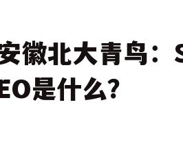 安徽北大青鸟:SEO是什么?