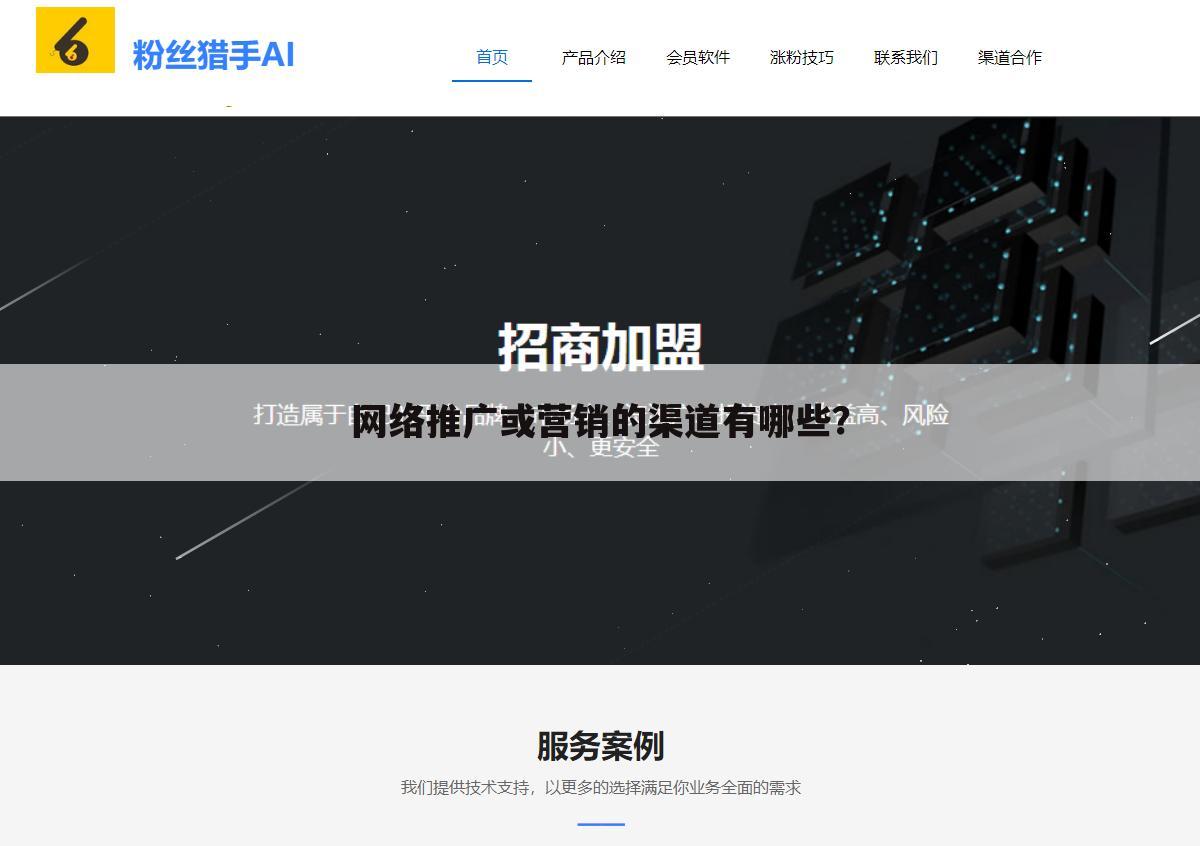 网络推广或营销的渠道有哪些?