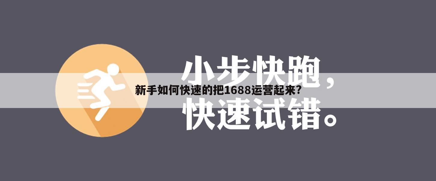 新手如何快速的把1688运营起来?