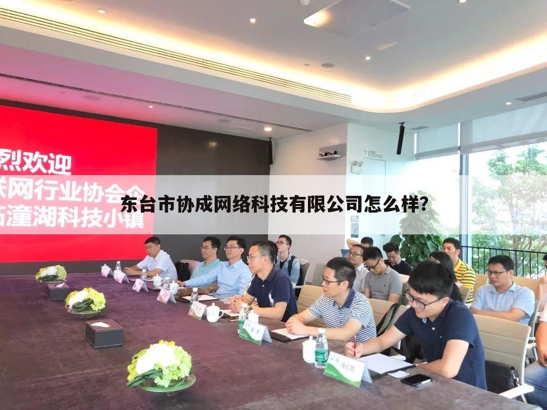 东台市协成网络科技有限公司怎么样？