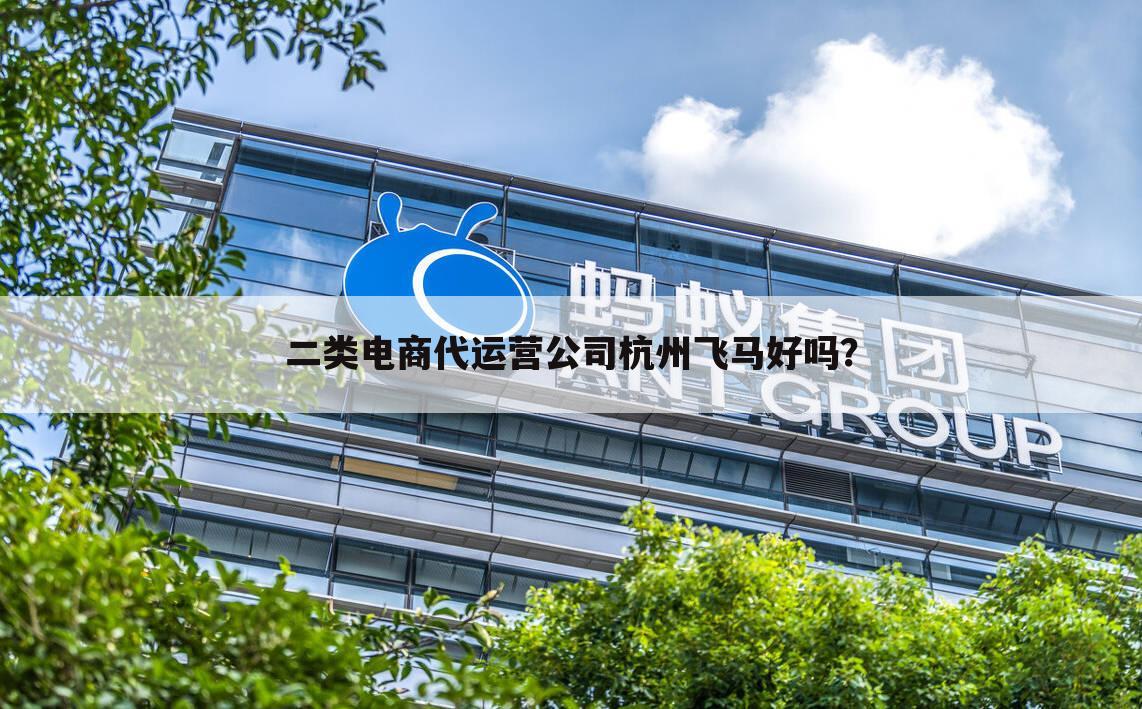 二类电商代运营公司杭州飞马好吗?
