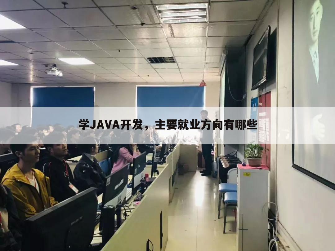 学JAVA开发，主要就业方向有哪些