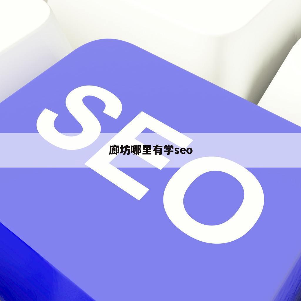 廊坊哪里有学seo