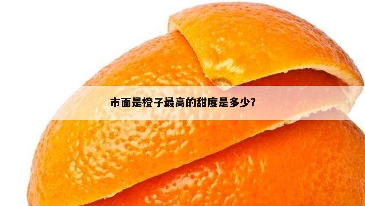 市面是橙子最高的甜度是多少?