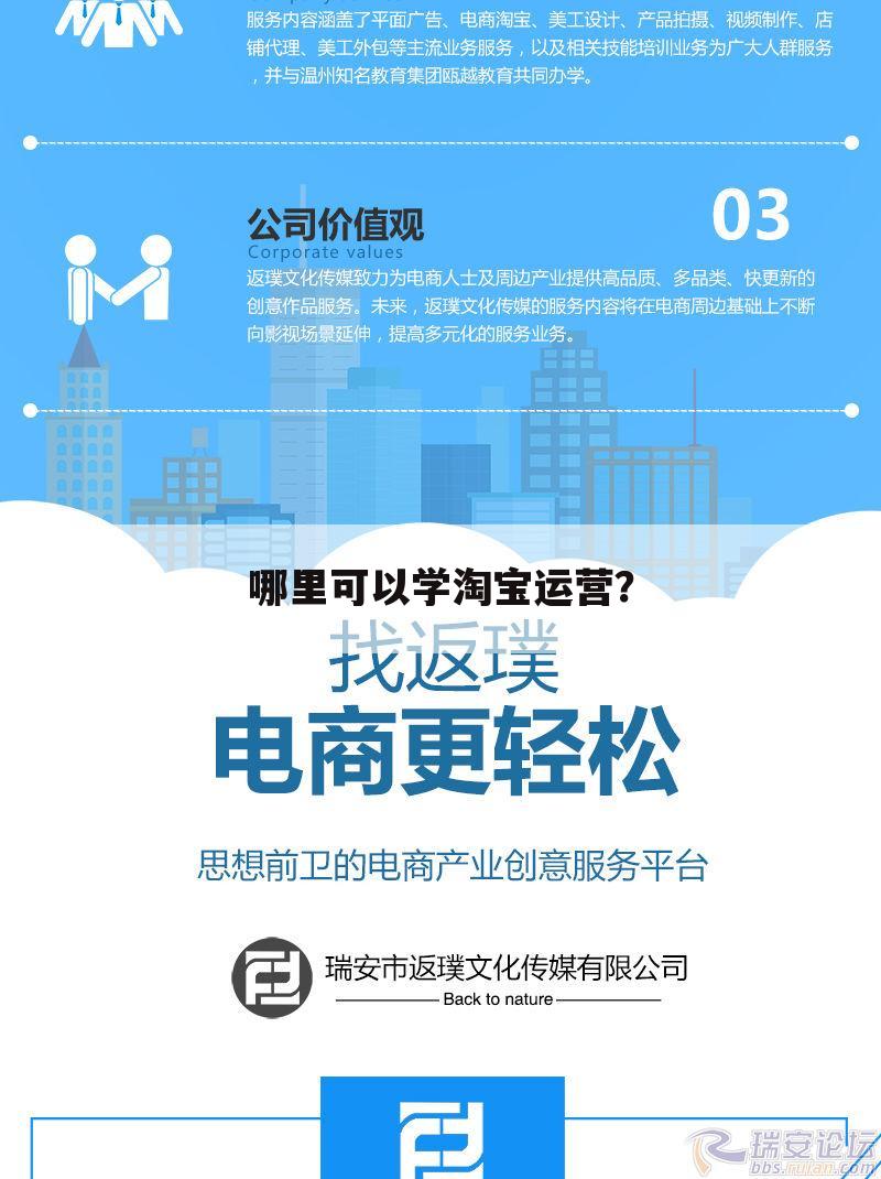 哪里可以学淘宝运营?