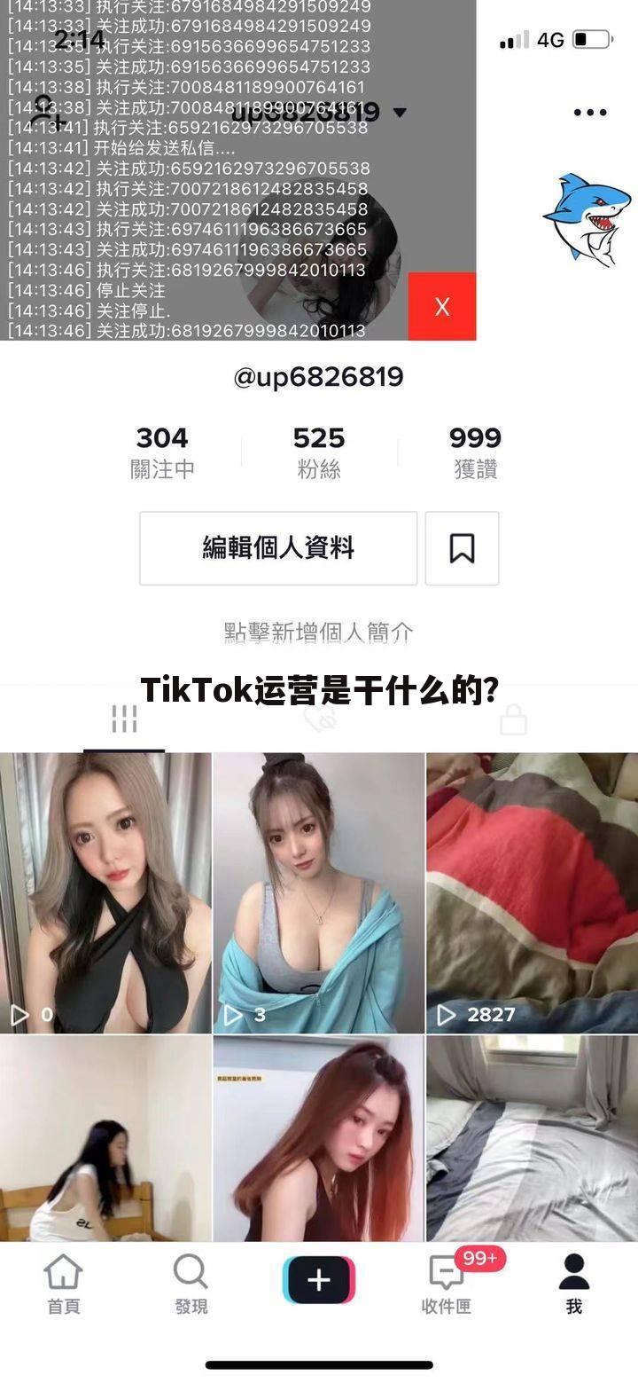 TikTok运营是干什么的?