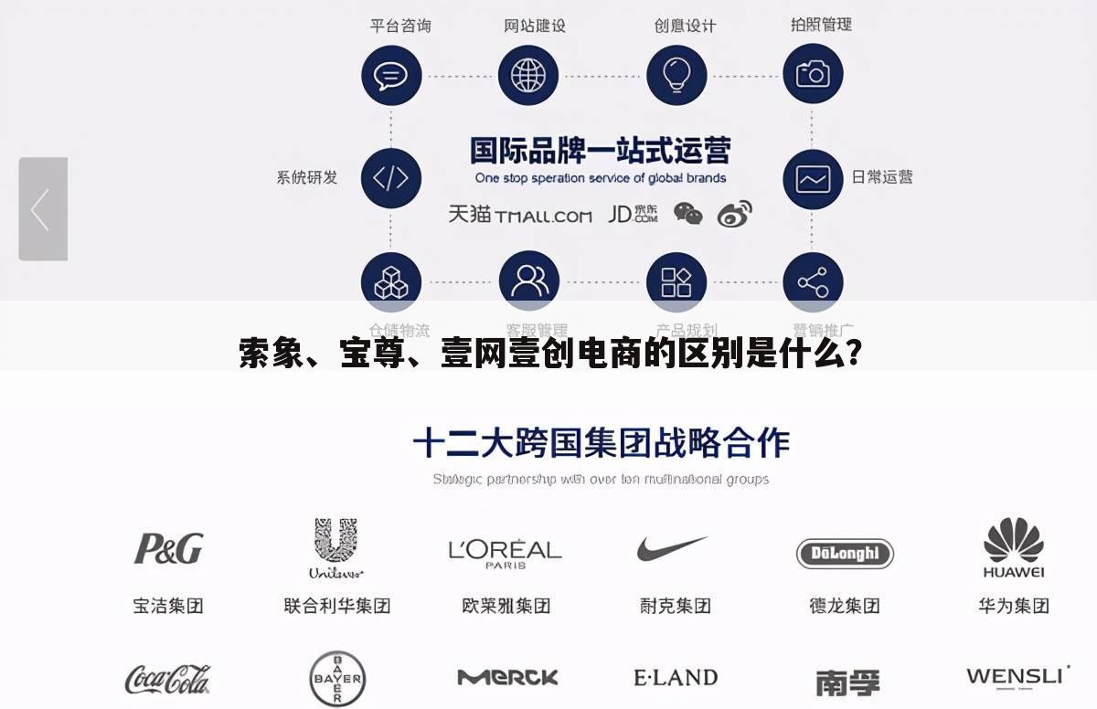 索象、宝尊、壹网壹创电商的区别是什么?