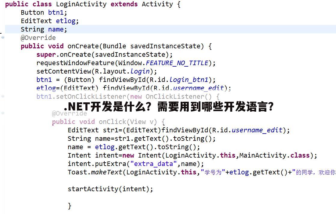 .NET开发是什么？需要用到哪些开发语言？