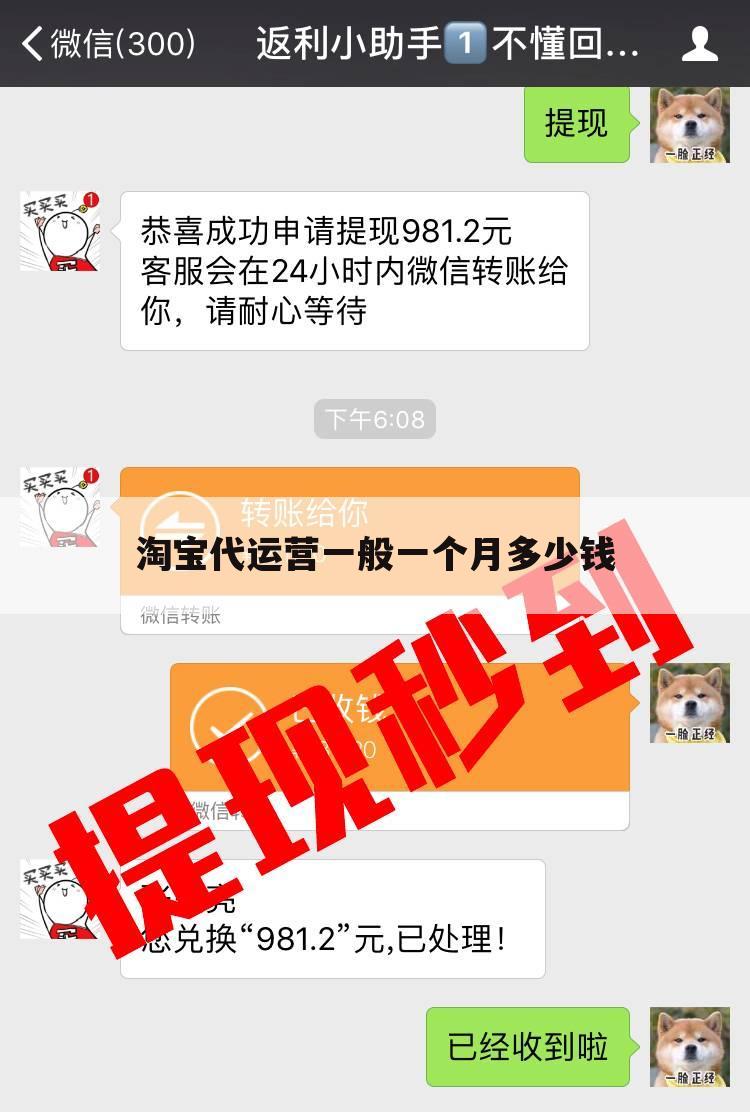 淘宝代运营一般一个月多少钱