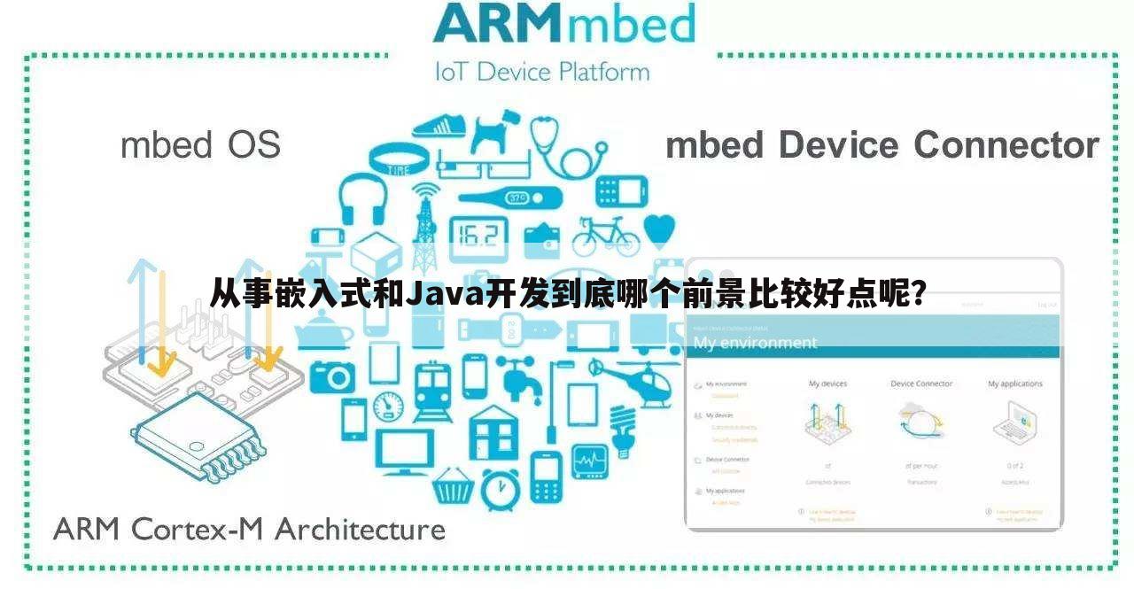 从事嵌入式和Java开发到底哪个前景比较好点呢？
