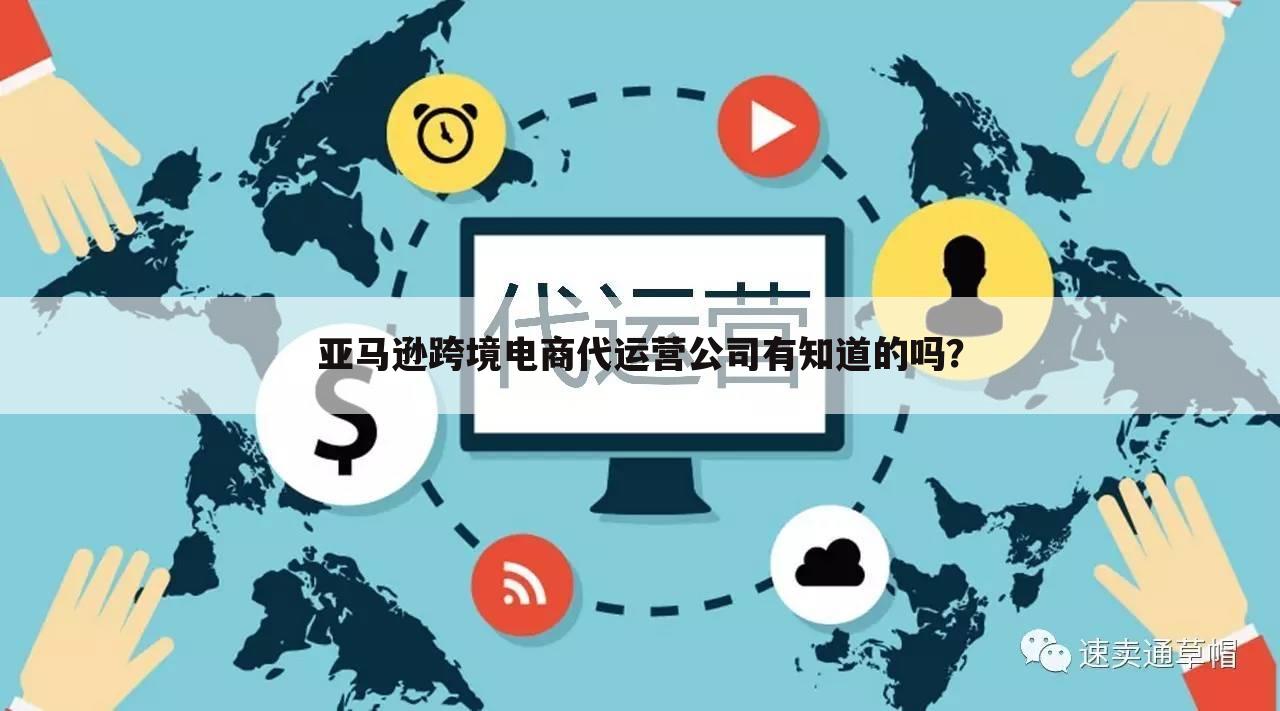 亚马逊跨境电商代运营公司有知道的吗?