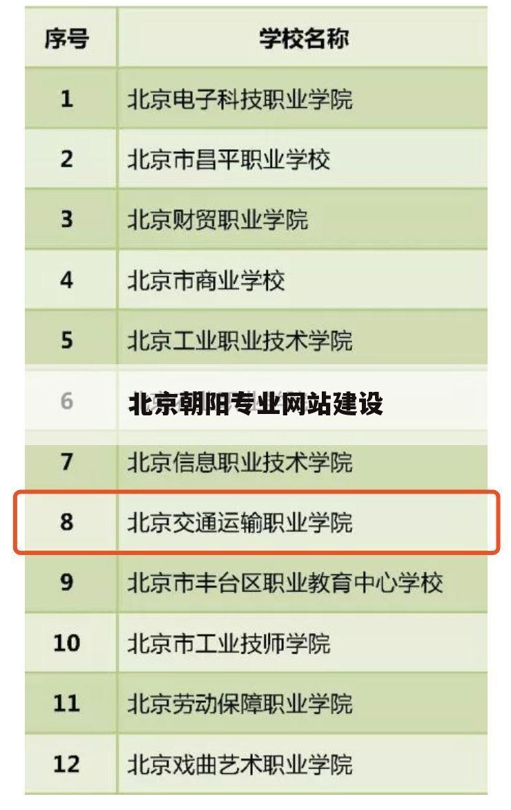 北京朝阳专业网站建设