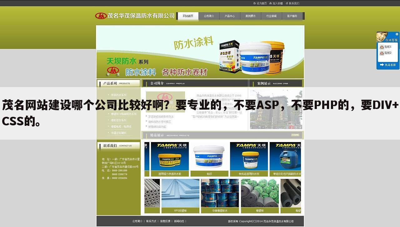 茂名网站建设哪个公司比较好啊？要专业的，不要ASP，不要PHP的，要DIV+CSS的。
