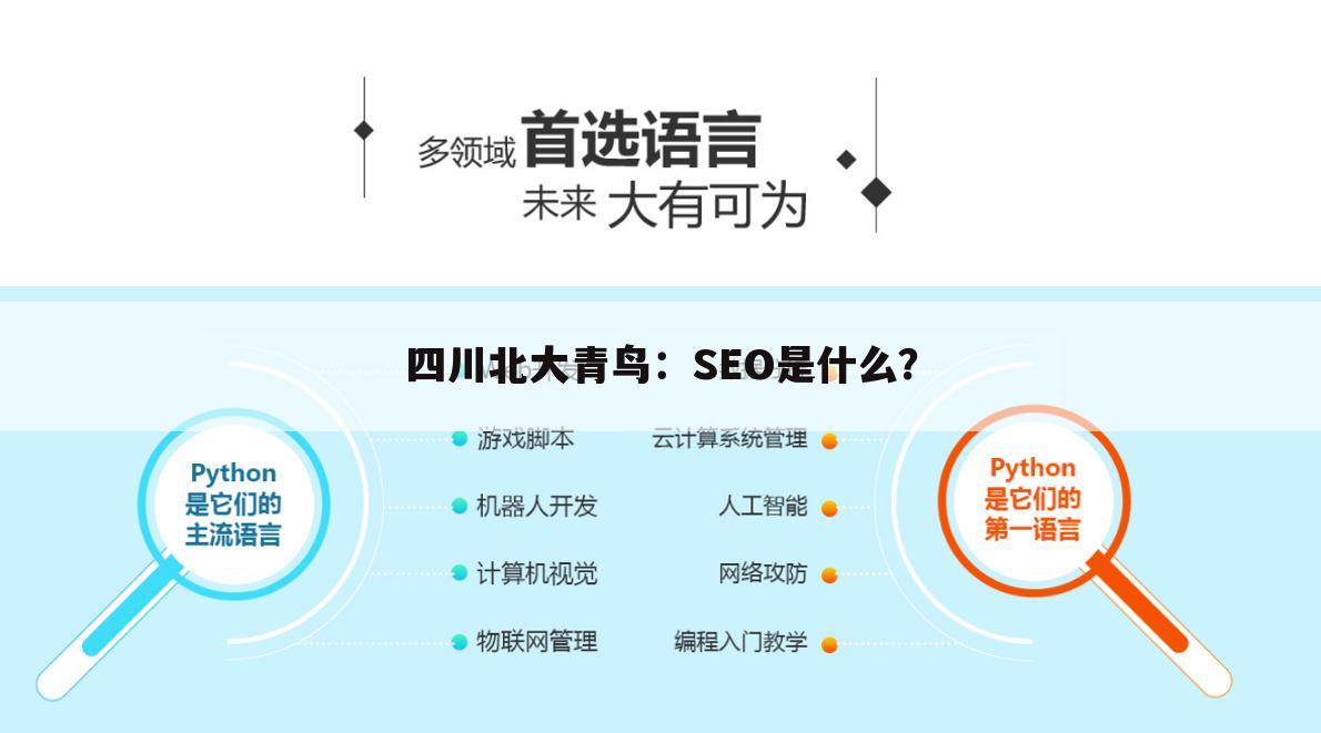 四川北大青鸟：SEO是什么？