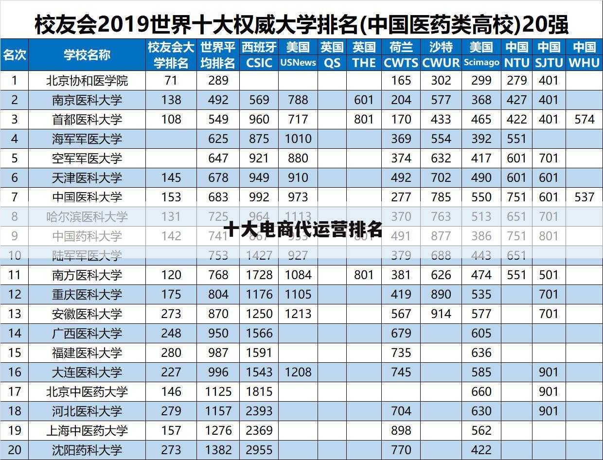 十大电商代运营排名